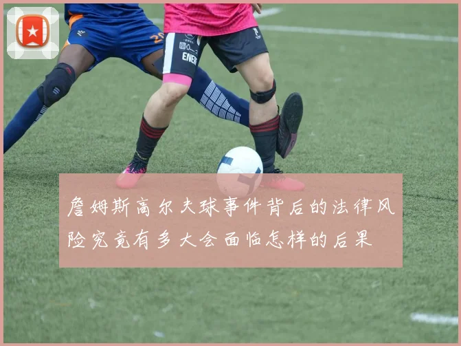 詹姆斯高尔夫球事件背后的法律风险究竟有多大会面临怎样的后果